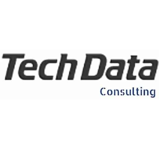 Techdata consulting